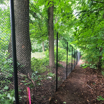 deer fence by West Stamford Fence